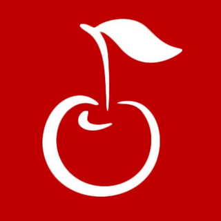 A Cherry On Top logo