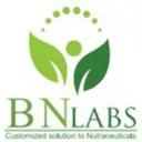 BN Labs logo
