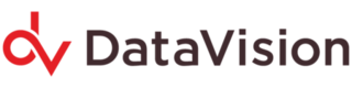 Data Vision logo