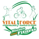 Vision Fitness logo