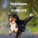 YuMove logo