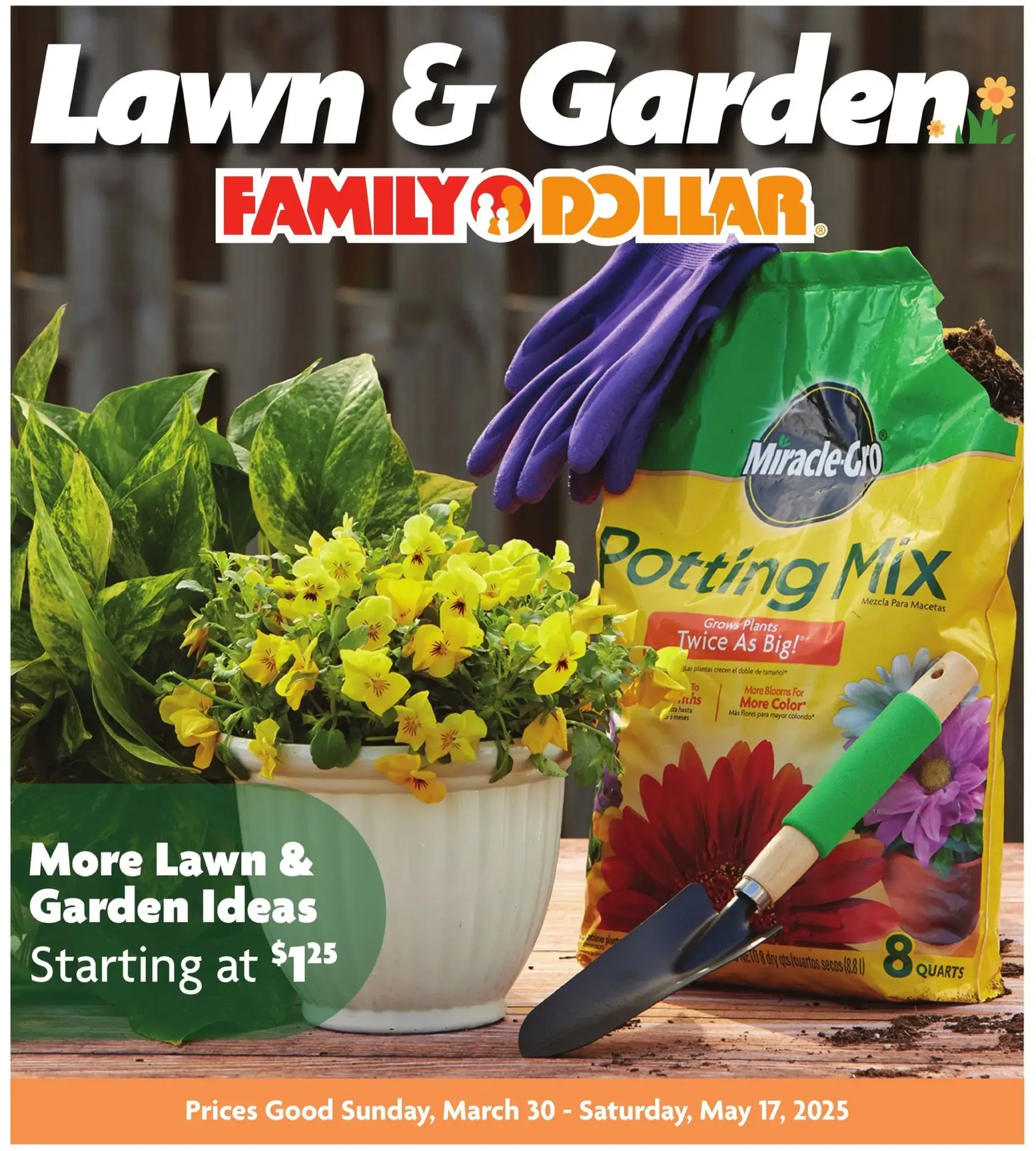 Family Dollar weekly ad page 1